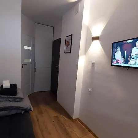 Cosy Studio Szopena Ряшів Екстер'єр фото