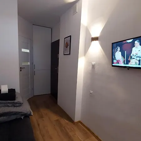 Cosy Studio Szopena Ряшів Екстер'єр фото